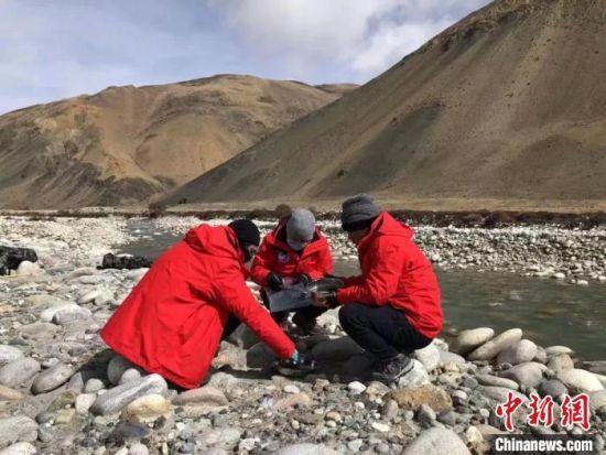 微生物筛菌步骤详解指南