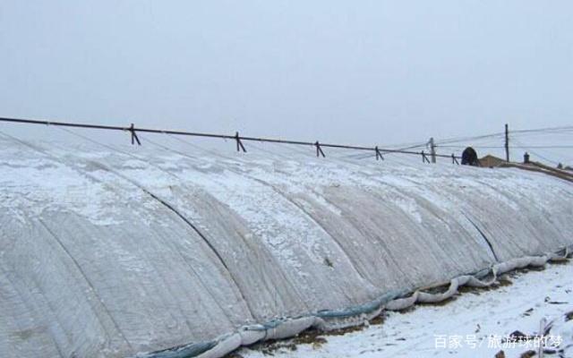 冬季大棚搭建全面指南，实用建议与操作要点