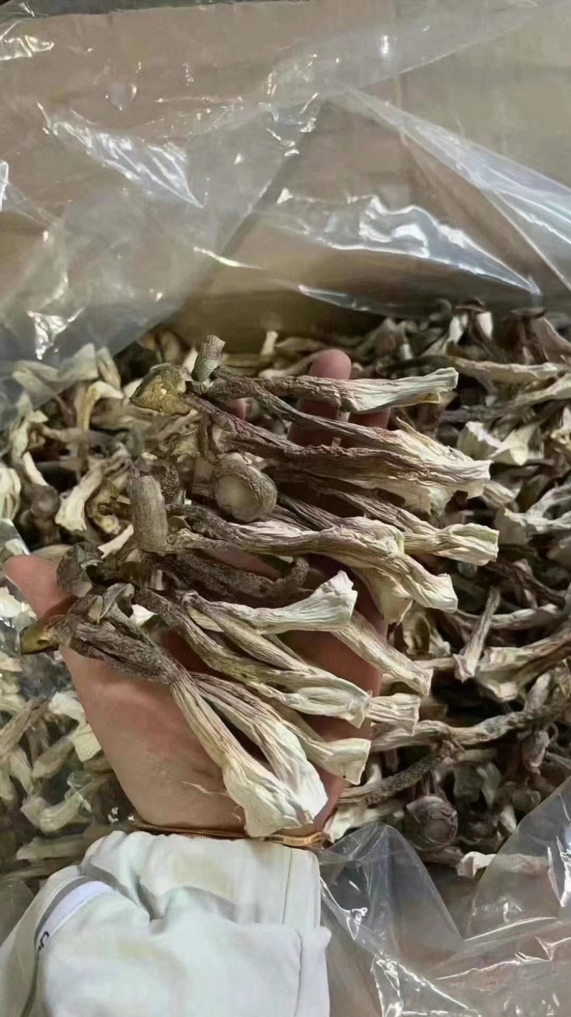 鹿茸菇烹饪时间与技巧，熟度与口感深度解析