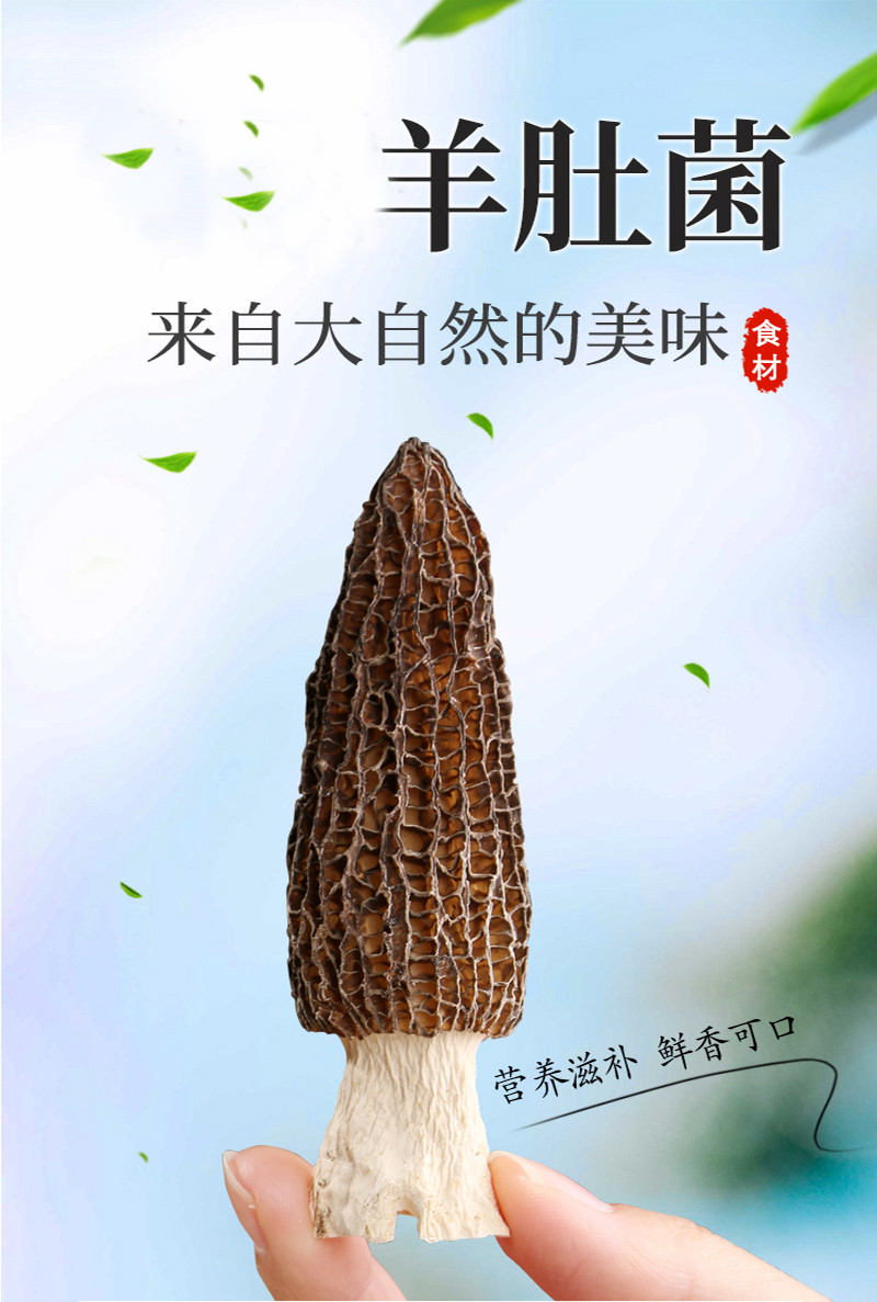 羊肚菌粉市场行情解析，明智购买，洞悉价格动态