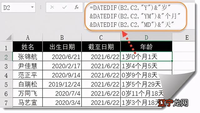 日期天数计算器，高效时间管理的必备工具