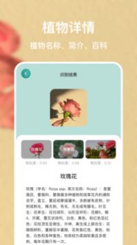 中国植物识别APP，智能引领植物科普新时代