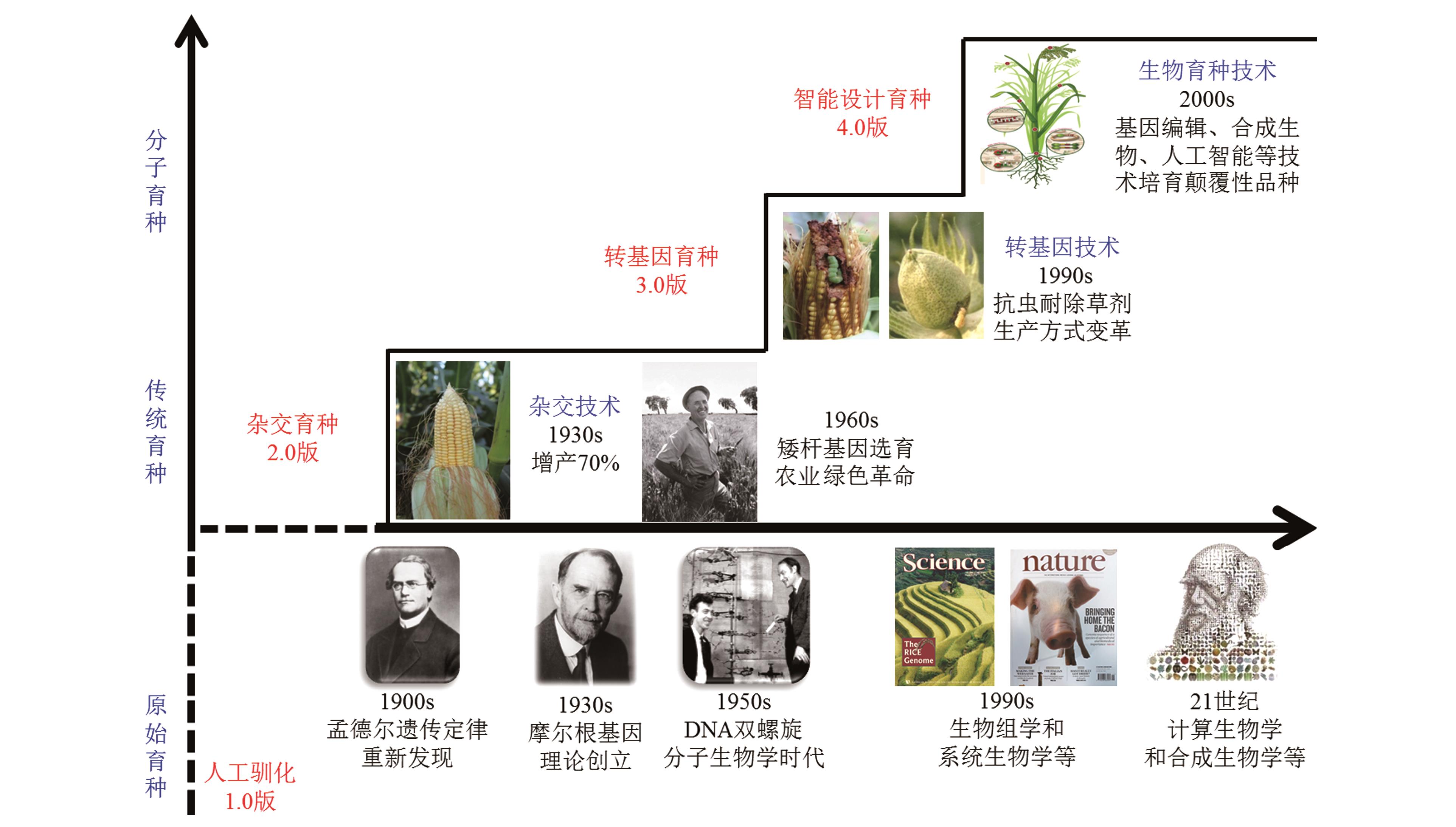 作物育种技术的演进与展望，过去、现在与未来趋势