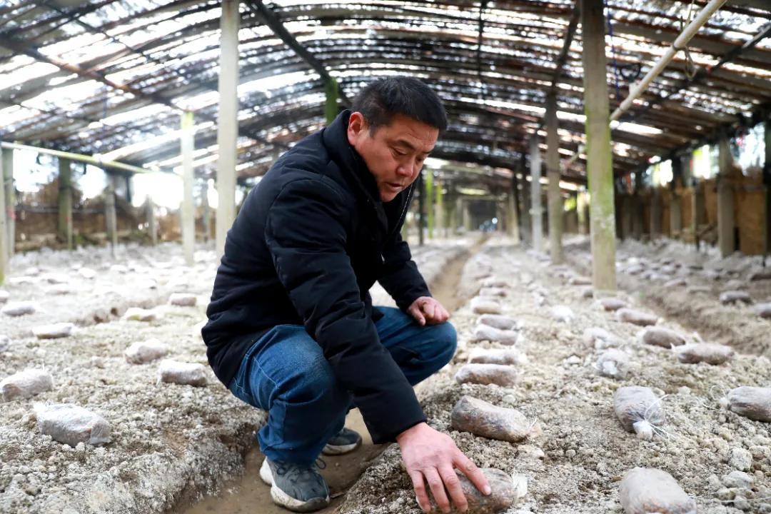 探索微生物世界，筛选菌种揭秘奥秘