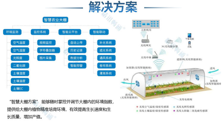 物联网智能大棚设计，开启未来农业新篇章