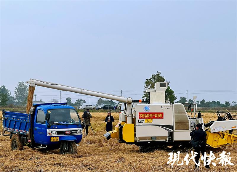 机械收割水稻，现代农业的高效便捷之旅