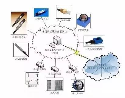 传感器网络构成概览，现代传感器网络构建与运作洞悉