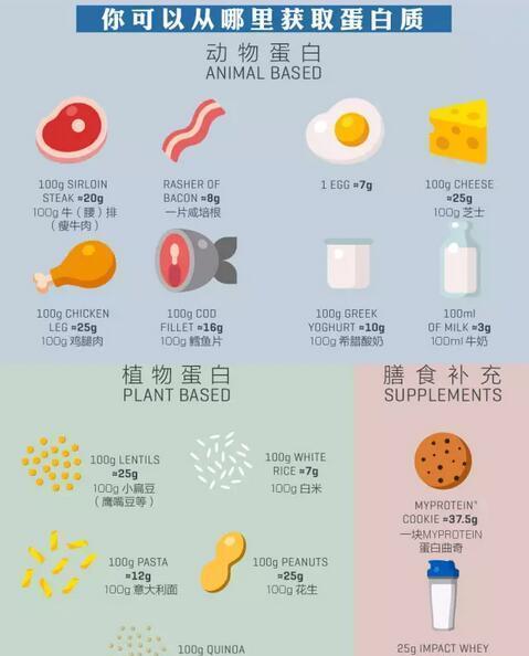 蛋白质含量一览表大揭秘，营养健康的秘密武器知多少？