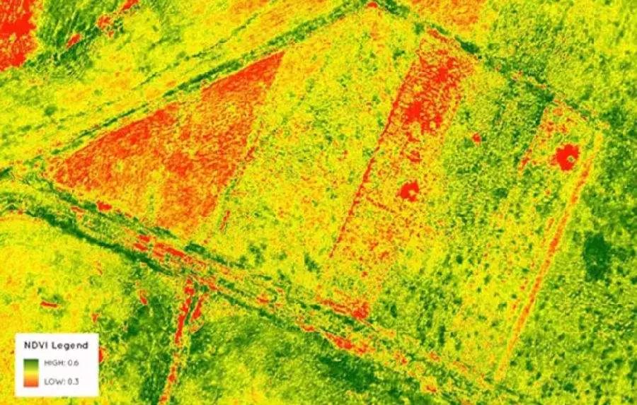 遥感技术实现作物生长实时观测，可能性、挑战解析