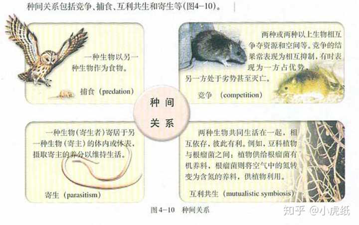 寄生关系的深度解析，生物间的特殊相互作用探究