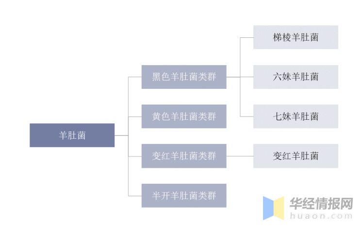 菌种选育名词解释与重要性解析