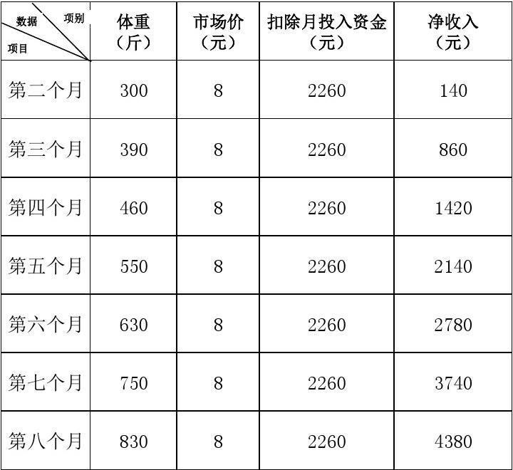 经济效益表的重要性及应用价值解析