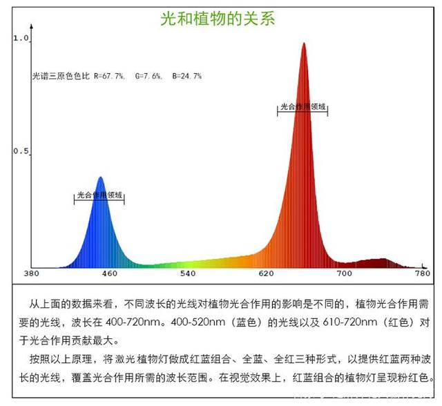 作物生长光谱监测实验报告总结分析