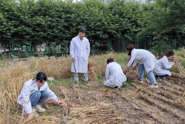 种地大学专业探究，名称与内涵解析