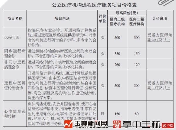 远程诊断收费标准的全面解析与探讨