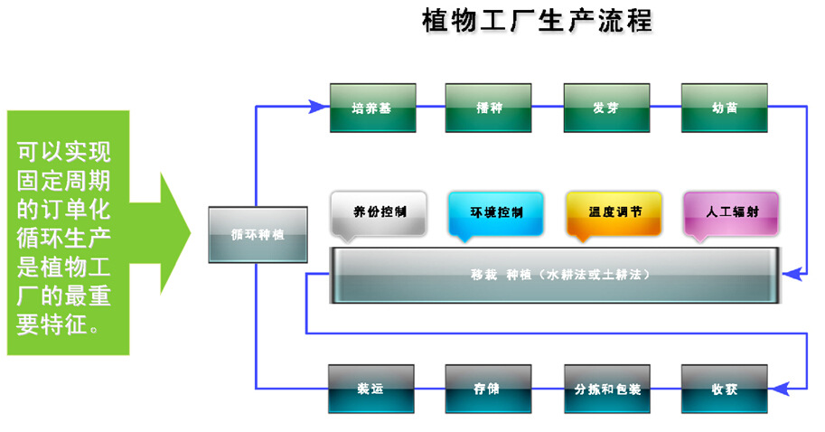 植物工厂阅读解析与答案总结