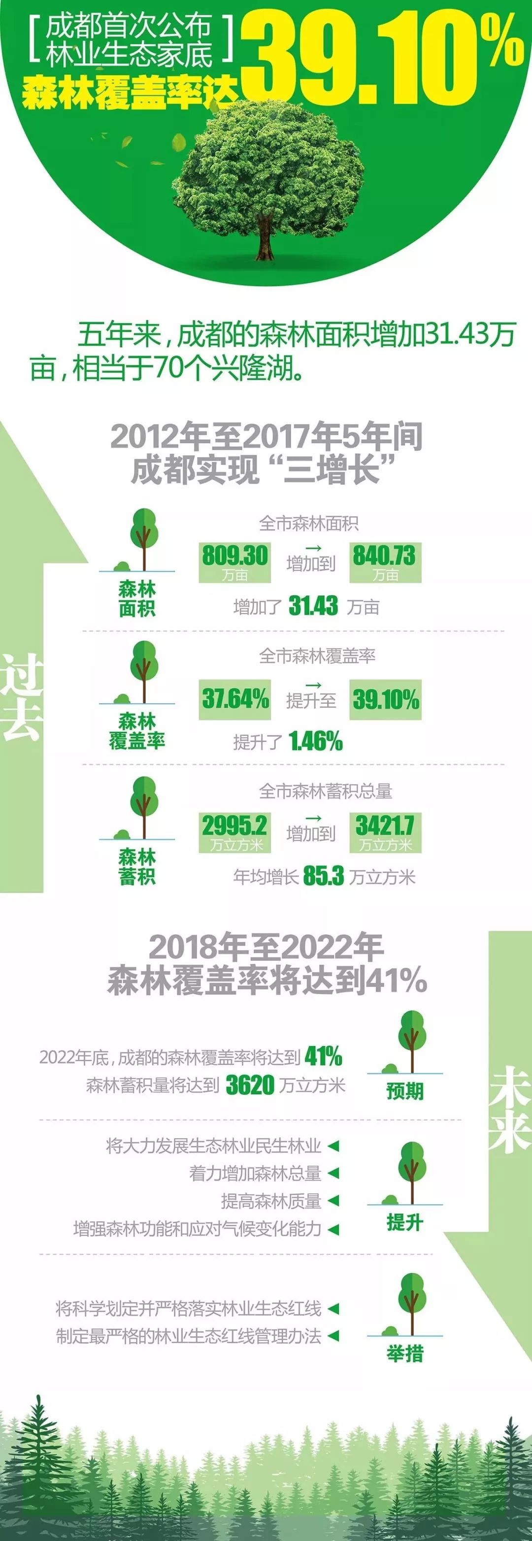 自然与人类和谐共生，生态效益的具体表现与价值探索