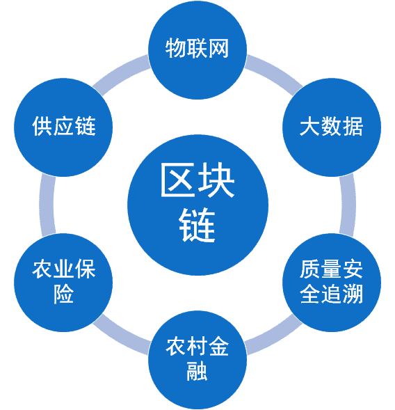 农业区块链技术基础，应用与潜力的深度解析