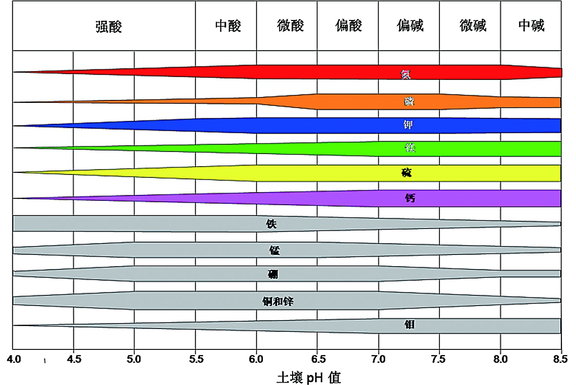 土壤酸碱性质的重要性，pH值的意义与影响深度解析