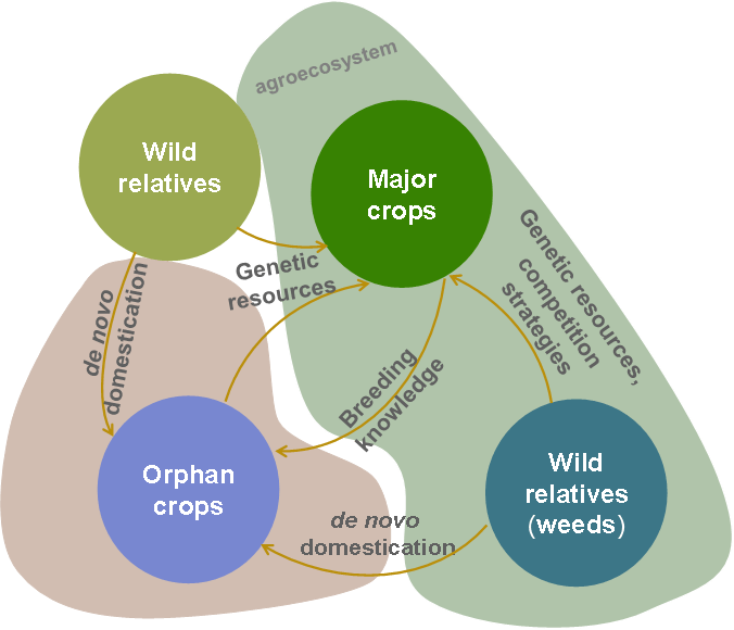 樊龙江与百度网盘携手共探植物基因组学研究探索之旅