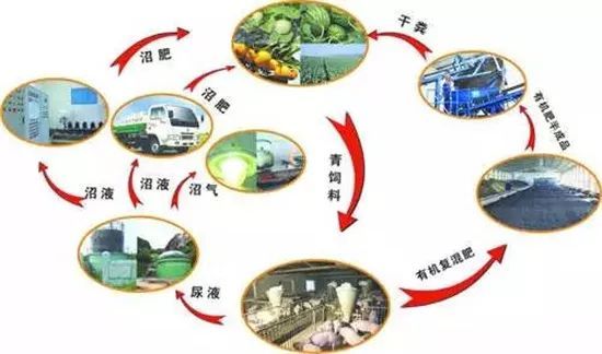 养分循环的三大类型及其关键重要性解析