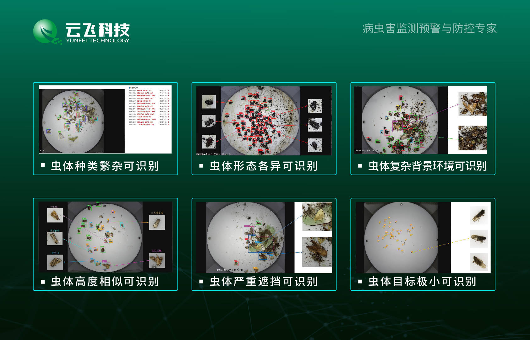 农作物病虫害智能识别技术应用案例及其实效分析