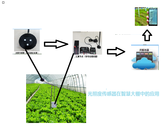 智慧农业传感器，引领农业智能化新时代