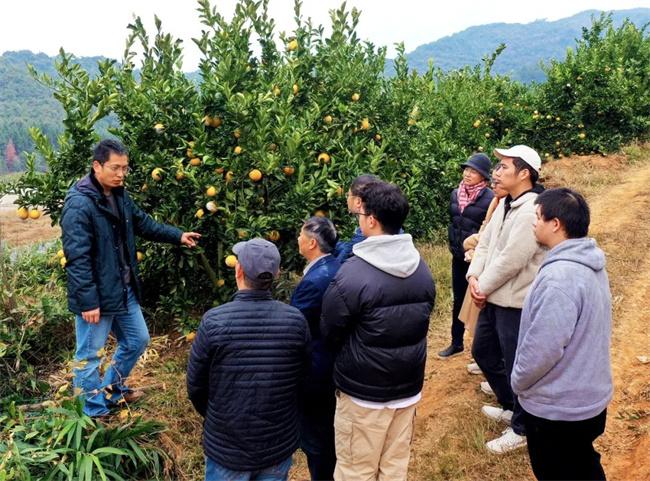 农业种植研究生的探索之路与挑战