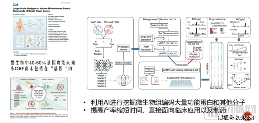 微生物生态研究，探索微观世界的奥秘之旅