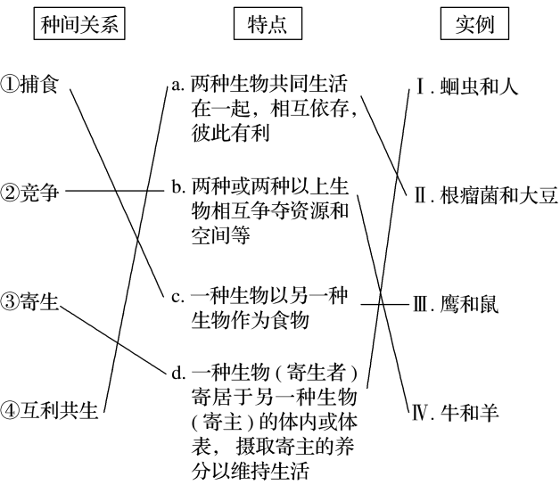 生物五种种间关系详解，共生、竞争、捕食、寄生与中性关系的探索