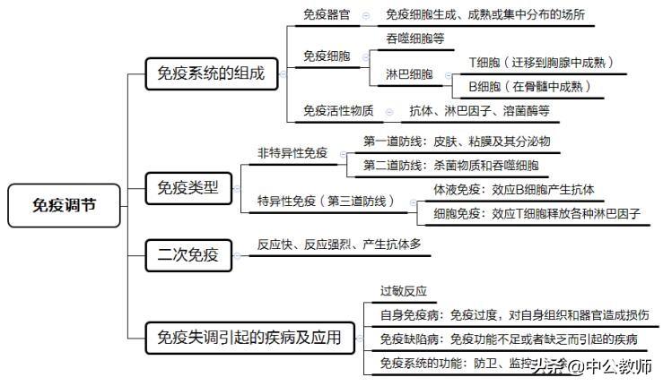 2024年11月 第109页