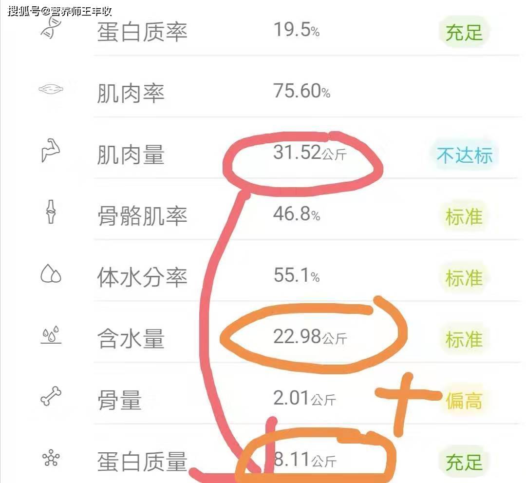 体脂秤蛋白质数据解读，蛋白质比例10%是否正常？