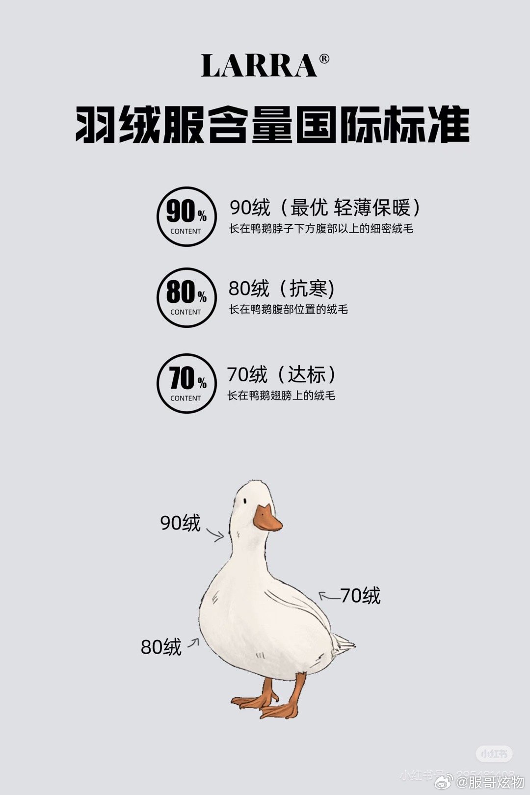 羽绒参考价格最新发布，市场走势解读与购买指南