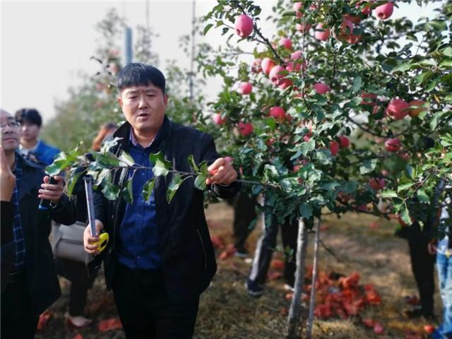 智能灌溉技术，农业现代化的核心驱动力