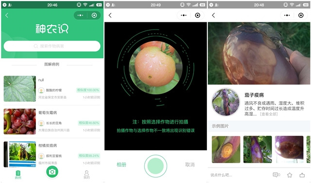 智能拍照识植物病害软件，科技助力农业健康守护