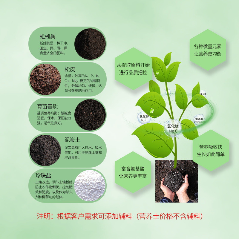 植物营养基质，培育绿色生命的基石之道