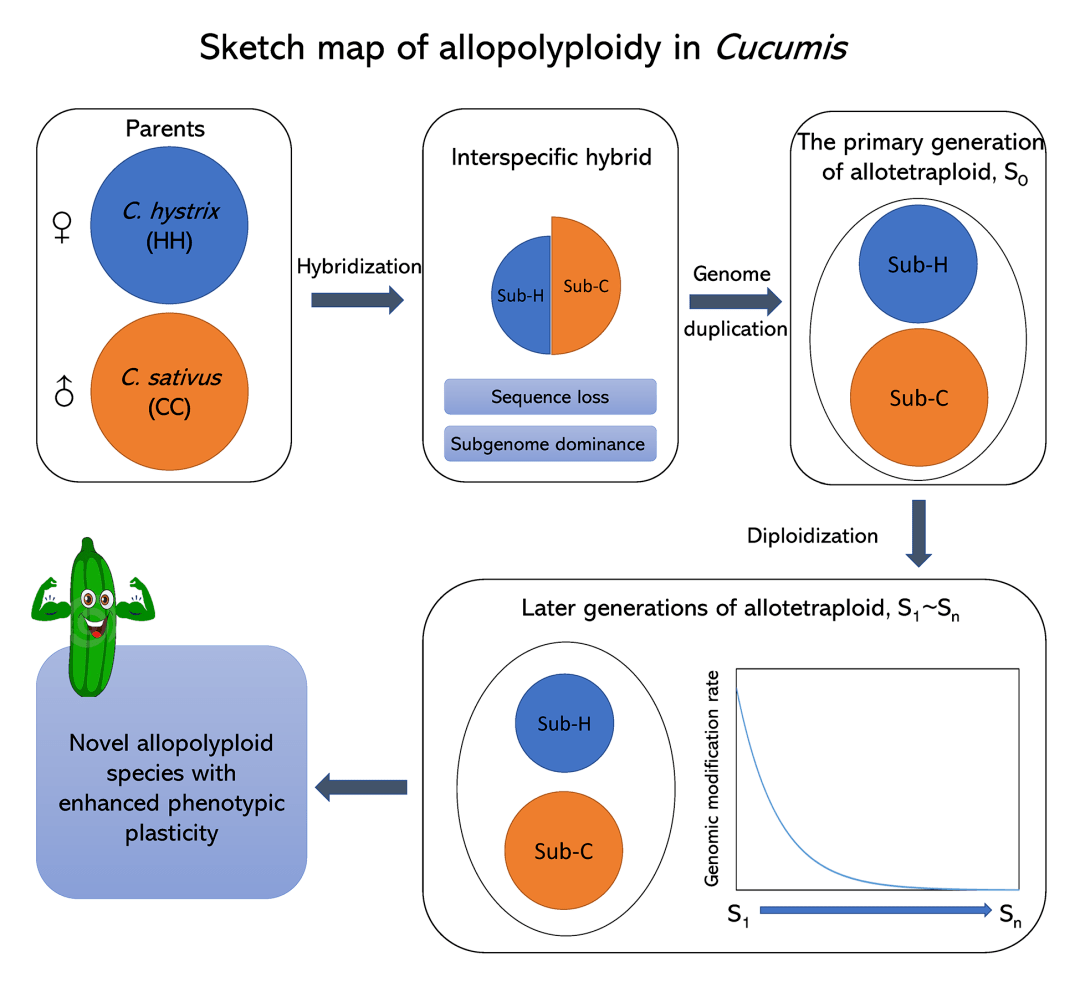 亚基因组的定义与重要性解析