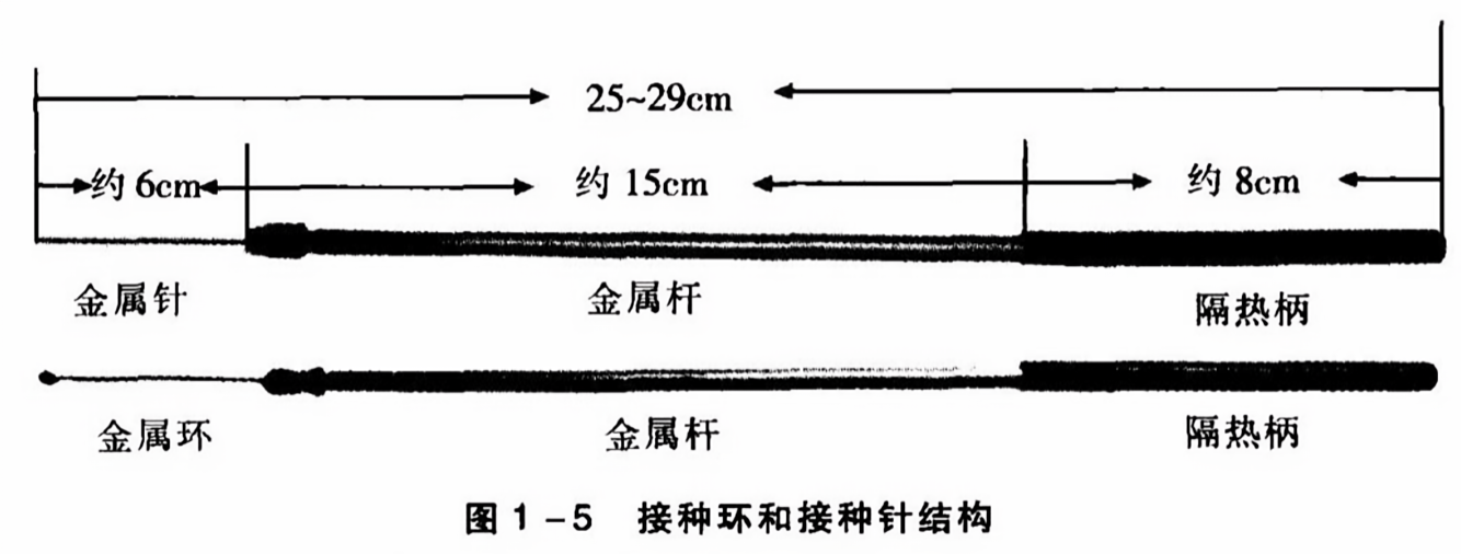 图解接种环的正确使用方法