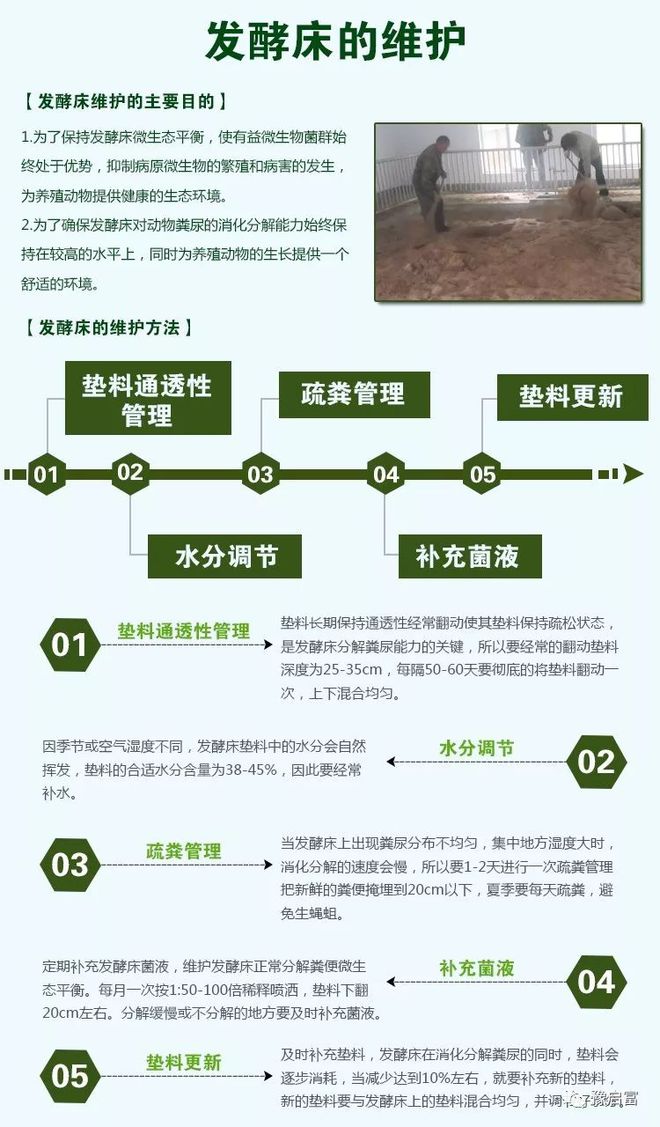 发酵床制作指南，从基础到高级的全面教程