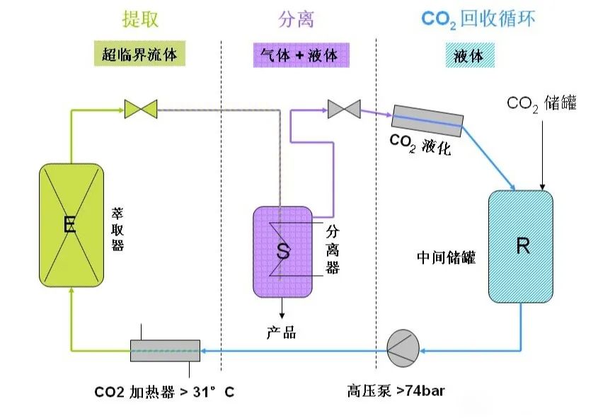 超临界CO2萃取技术引领天然产物提取新时代革新。