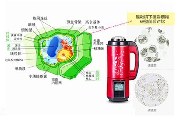 物理与超微细胞破壁技术，探索细胞研究新领域