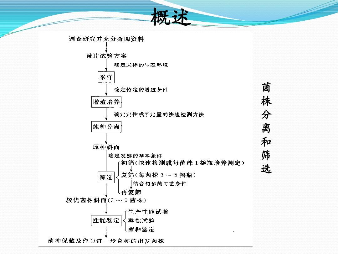 菌种筛选流程与抑菌剂应用指南