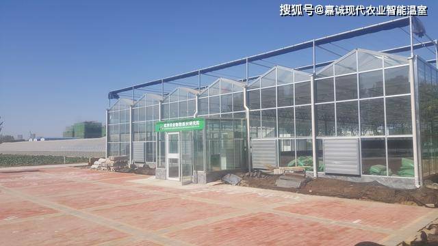 自动化大棚每平米价格深度解析及市场调研报告