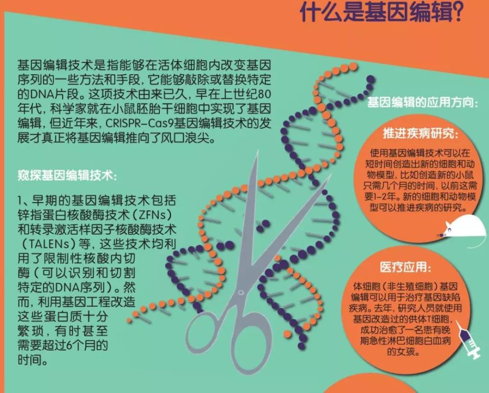 基因编辑技术的正反两面探索，双刃剑效应揭秘