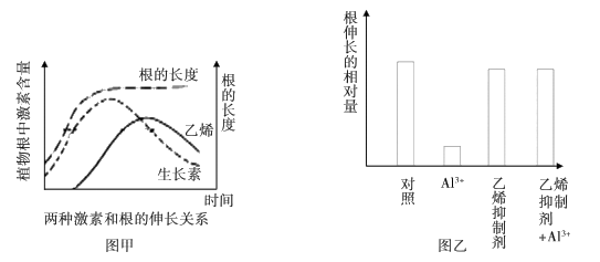 作物生长分析实验全面总结