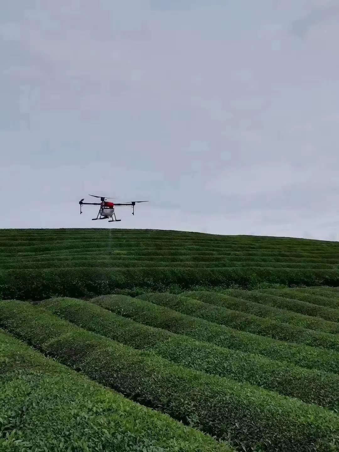 植保无人机优势与局限深度解析，超越优势点的探讨