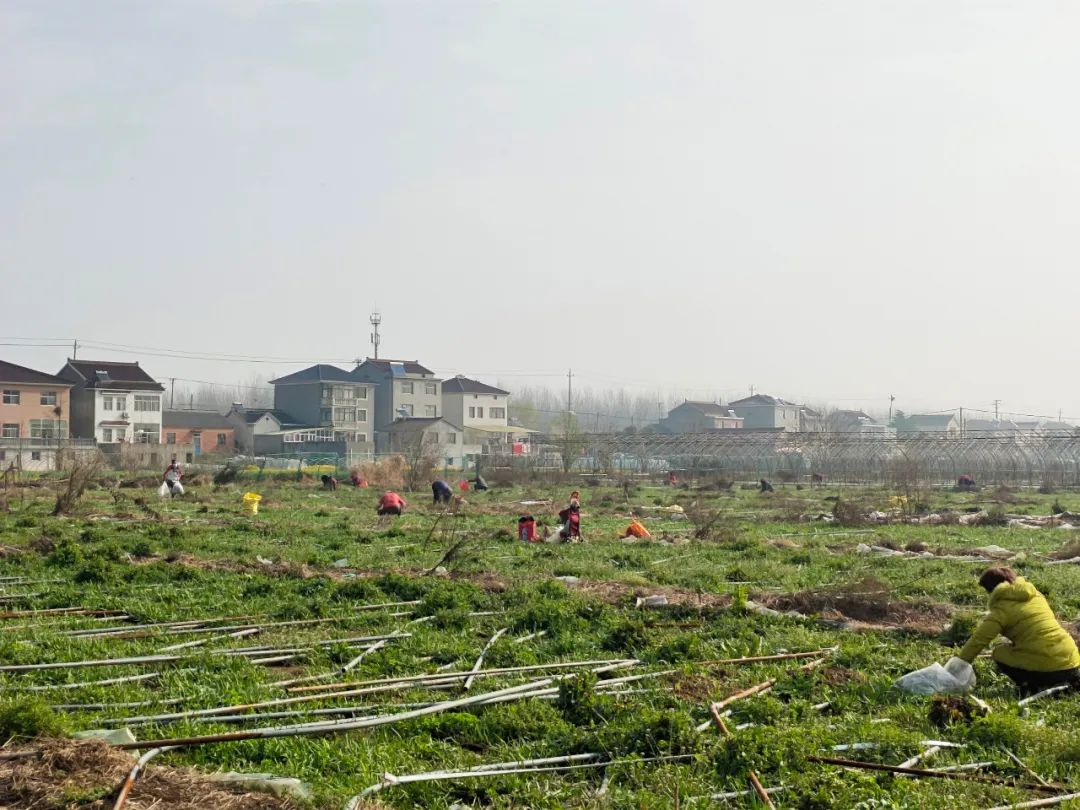 蒙古国土壤条件及适宜种植作物探究