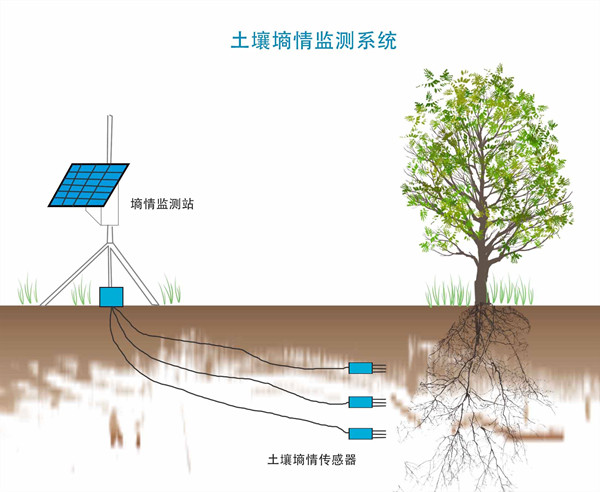 土壤传感器工作原理及其应用领域探讨