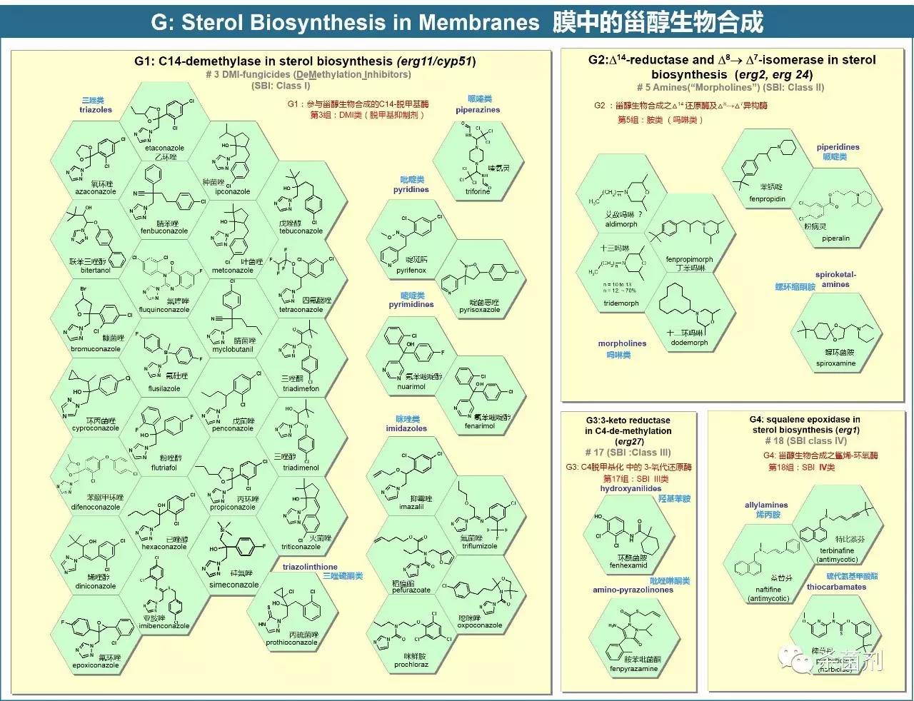 杀菌剂的分类及其作用机理概述