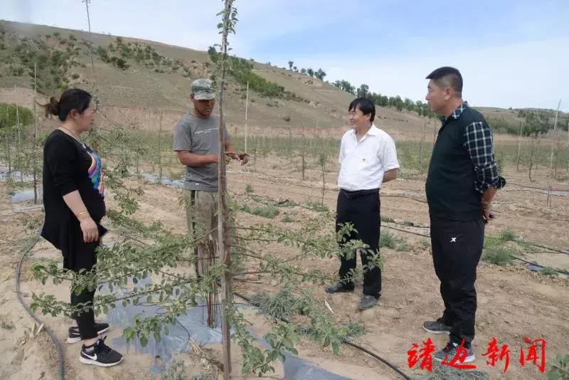 獾子肉的最佳烹饪方法详解